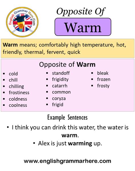 warmly antonyms|opposite of warm meaning.